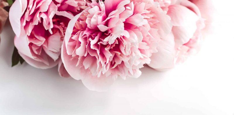 Wedding invitation concept - rings, envelope, pink peonies flowers on white background, copy space